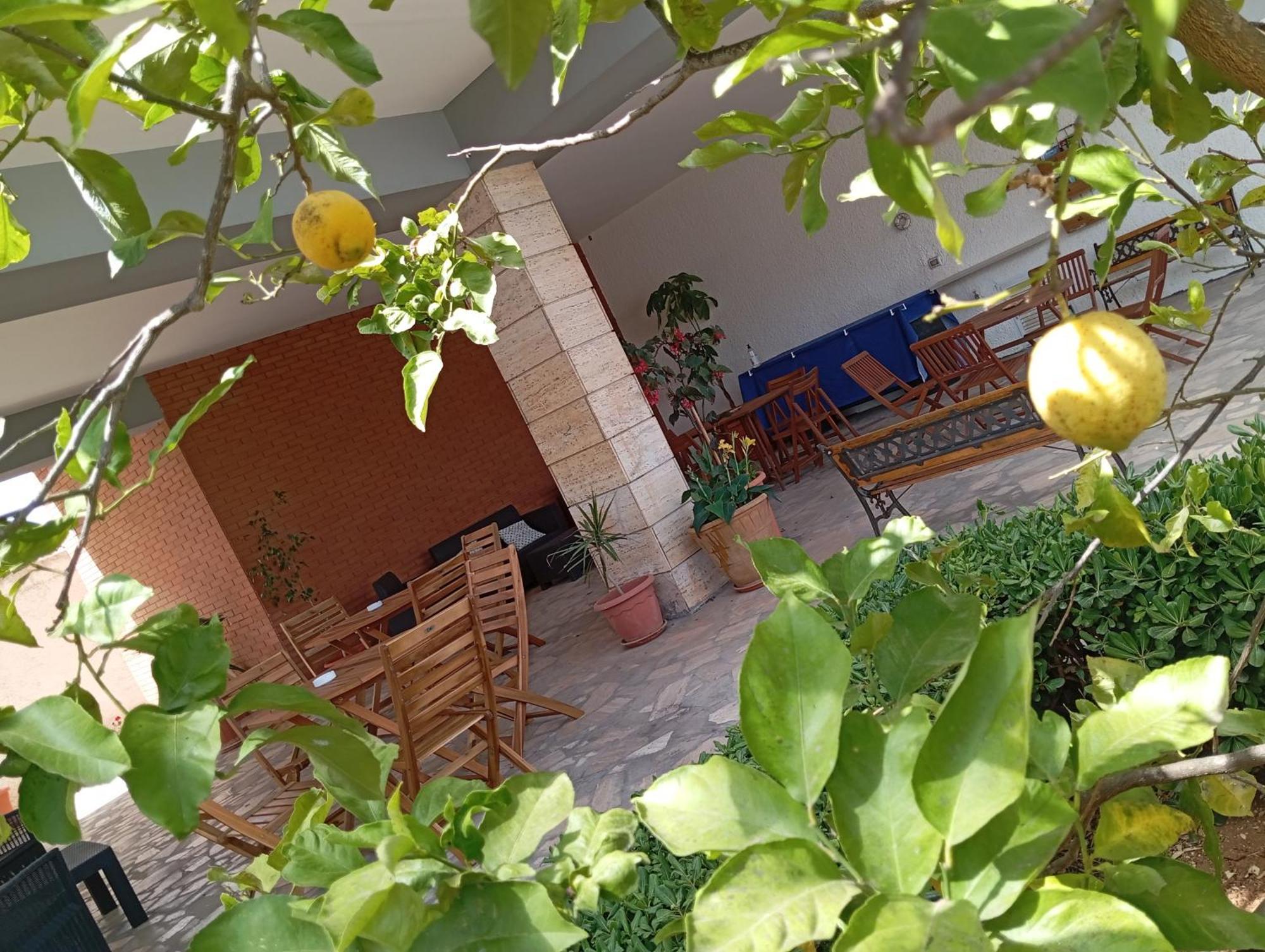 B&B Il Cedro Сальве Екстер'єр фото